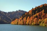 Backpack Tours №1