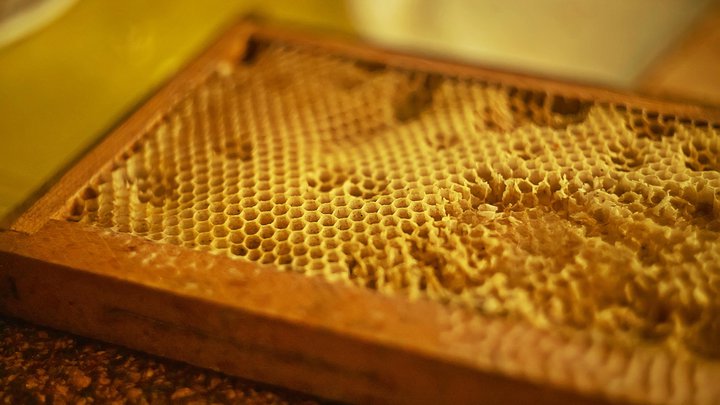 Пчеловодство "Badagi"