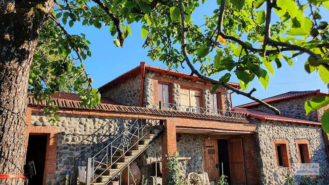 Baia's Wine — органическая винодельня семьи Абулвадзе в Обчише, Имерети
