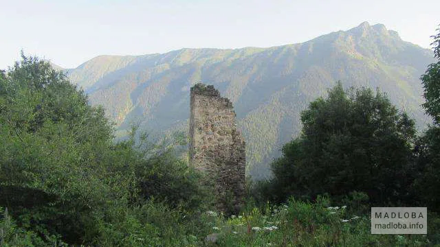 Башня старца Васо (Зураб)