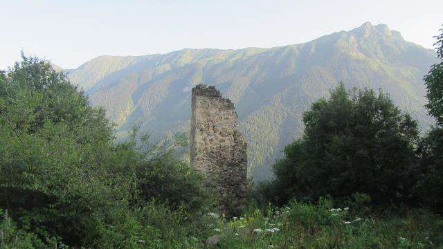 Vaso (Zurab) Elder's tower
