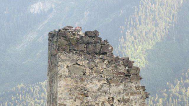 Vaso (Zurab) Elder's tower