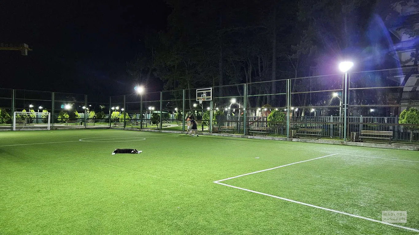 Basketball court (Agmashenebeli Ave. 291A)