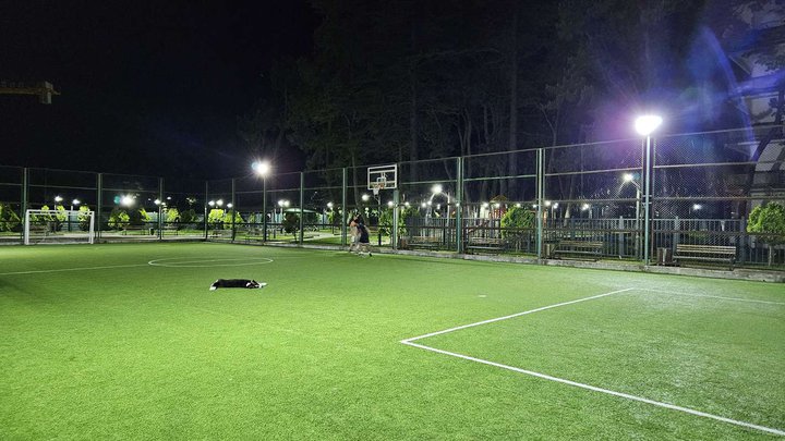 Basketball court (Agmashenebeli Ave. 291A)