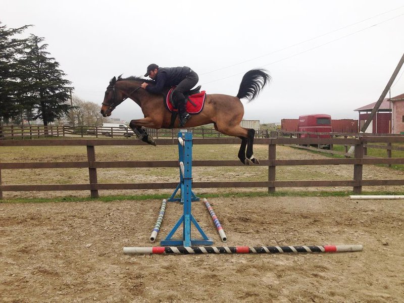 
								Батумский конный клуб