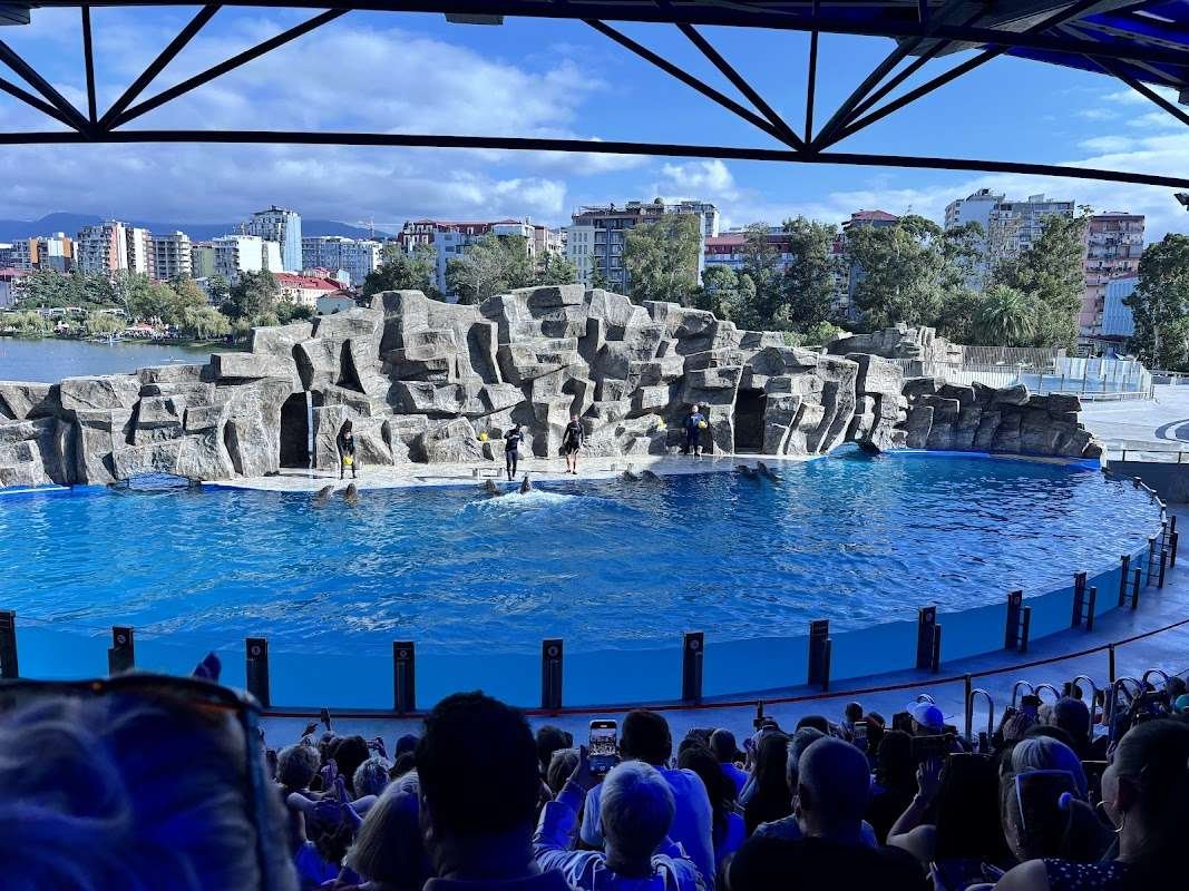 Batumi Dolphinarium