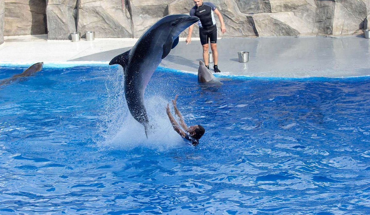 Batumskii_delfinarii