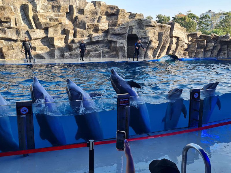 
								ბათუმის დელფინარიუმი