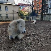 Батумский зоопарк