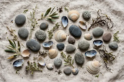 An arrangement of smooth beach stones, mussel and scallop shells, dried seaweed, and olive branches laid out on grey linen fabric.