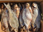 Beer Fish Batumi