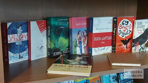 Полки с книгами в библиотеке Дими