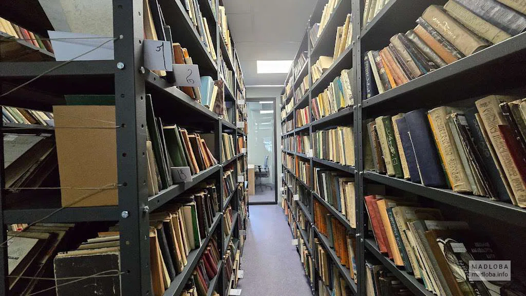 Библиотека имени Ладо Асатиани в Тбилиси