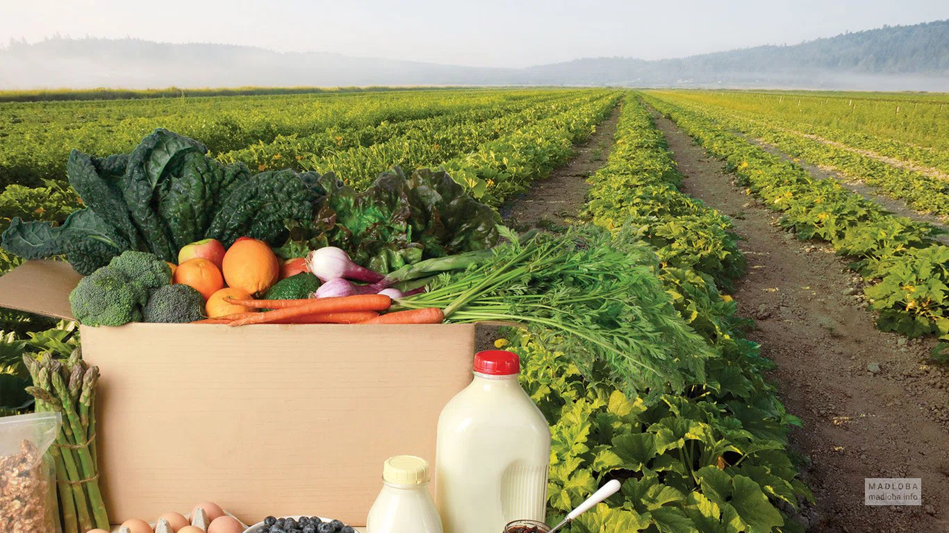 Производство сельскохозяйственных биопродуктов в Грузии