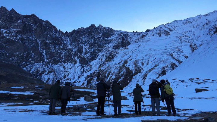 Birding Caucasus