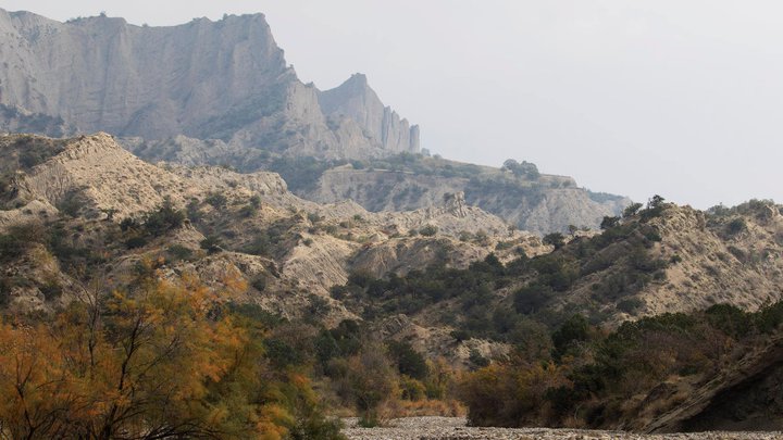 Birding Caucasus