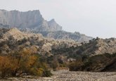 Birding Caucasus