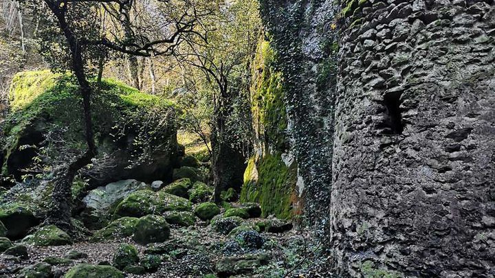 Birtvisi Fortress