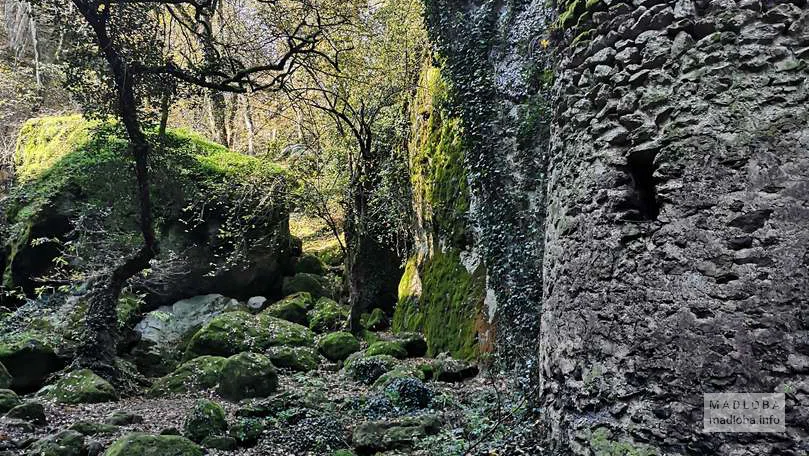 Birtvisi Fortress in Kvemo Kartli