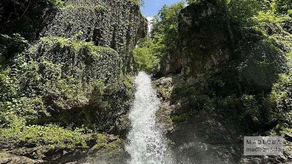 Водопад Чёрного Глухаря — лесная жемчужина лакедехского заповедника