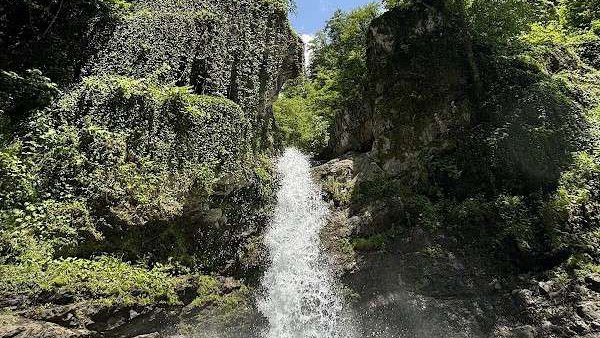 Black Grouse Waterfall