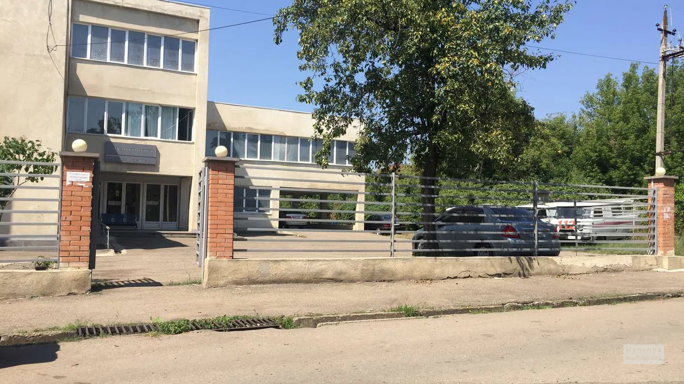 Вид на здание больницы Тетрицкаро