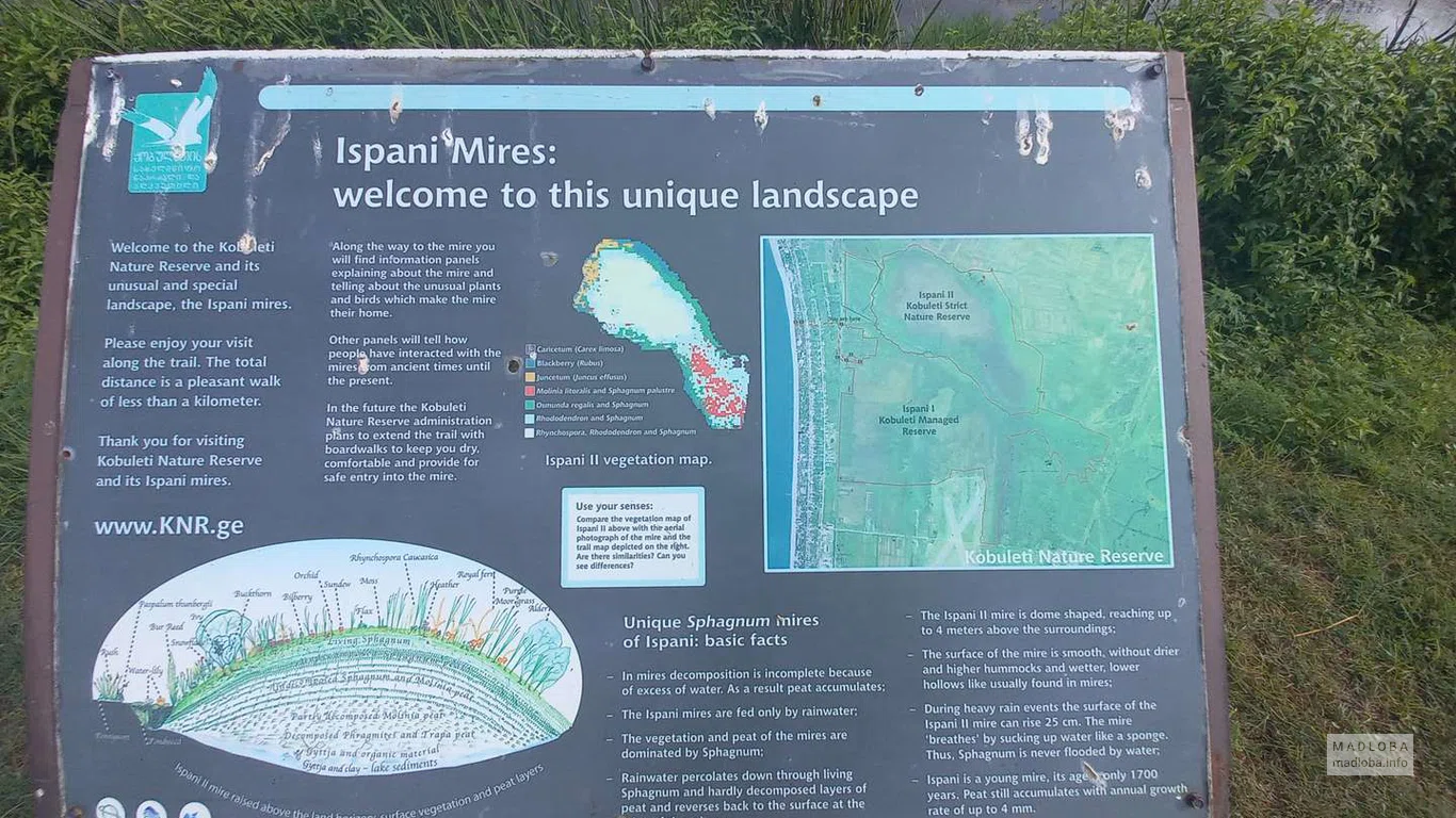Информационная табличка на болотах Испани