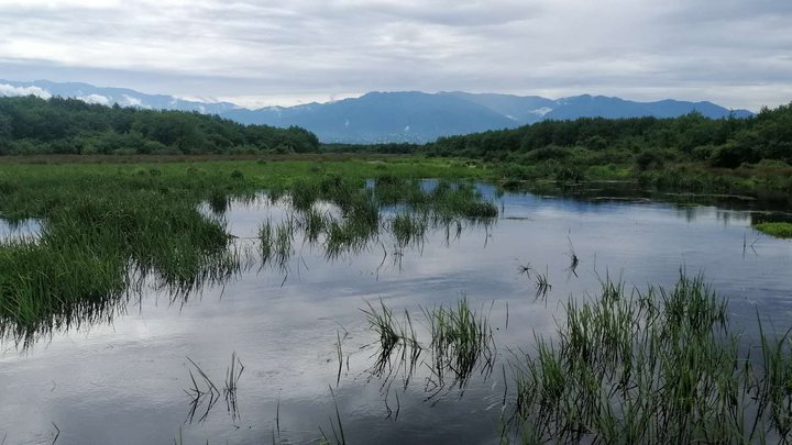 Swamps of Spain