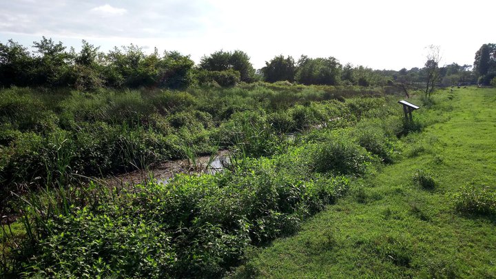 Swamps of Spain