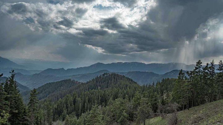 Administration of Borjomi-Kharagauli National Park