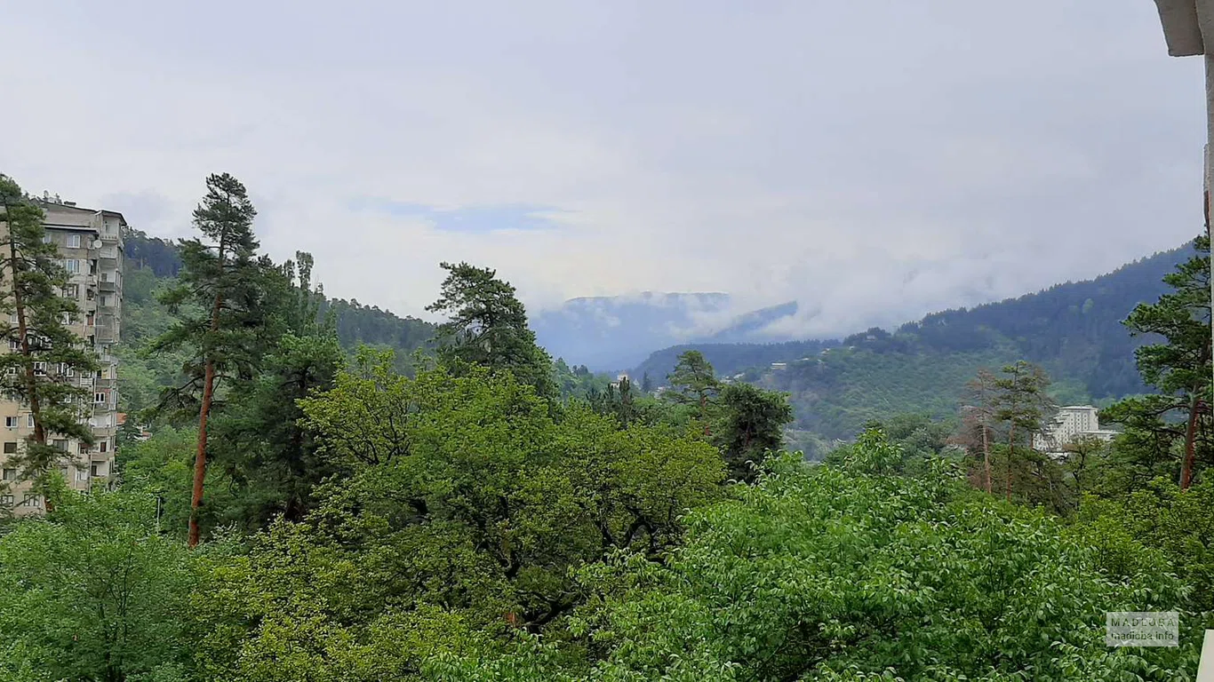 Borjomi Likani Apartments в Боржоми