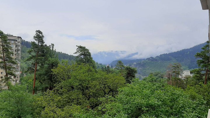 Borjomi Likani Apartments