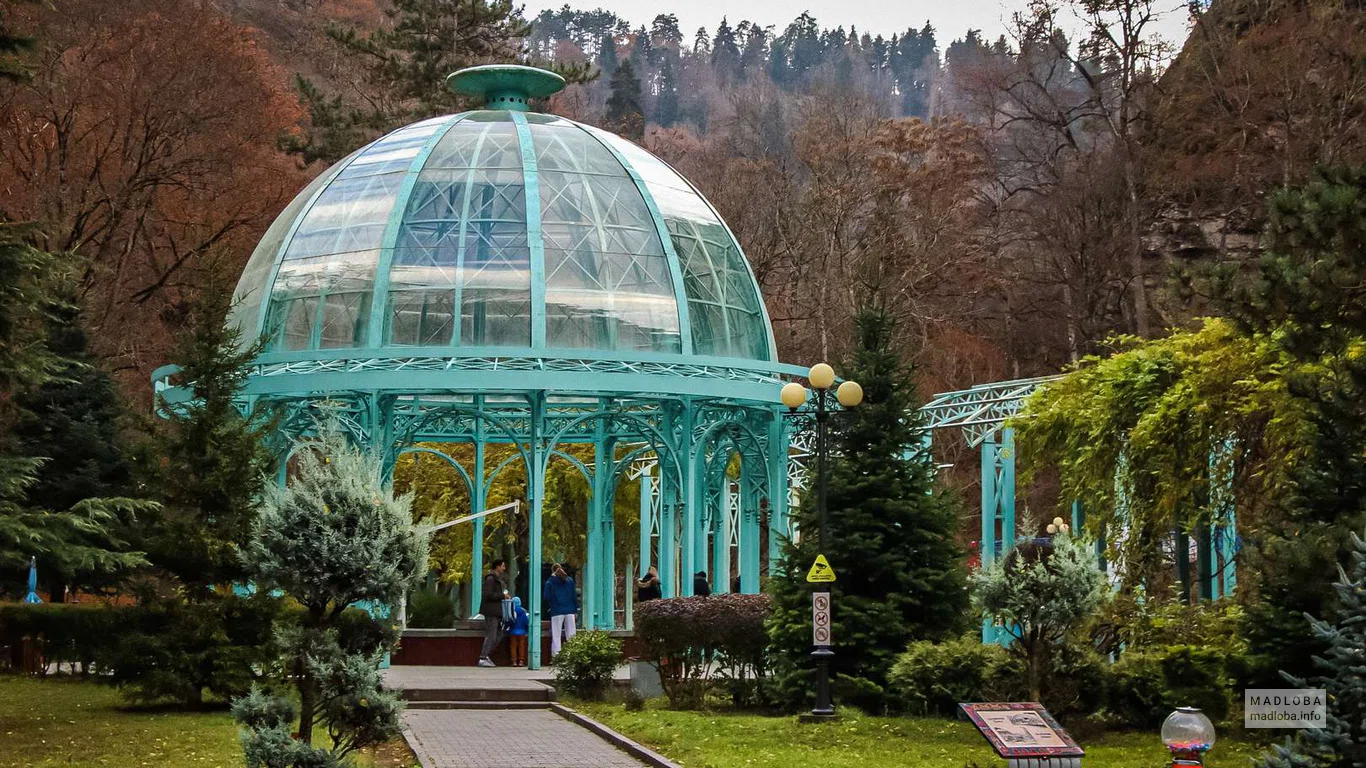 Источник горячей минеральной воды в парке Боржоми