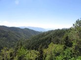 Horseback riding tours in Borjomi
