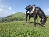 Horseback riding tours in Borjomi