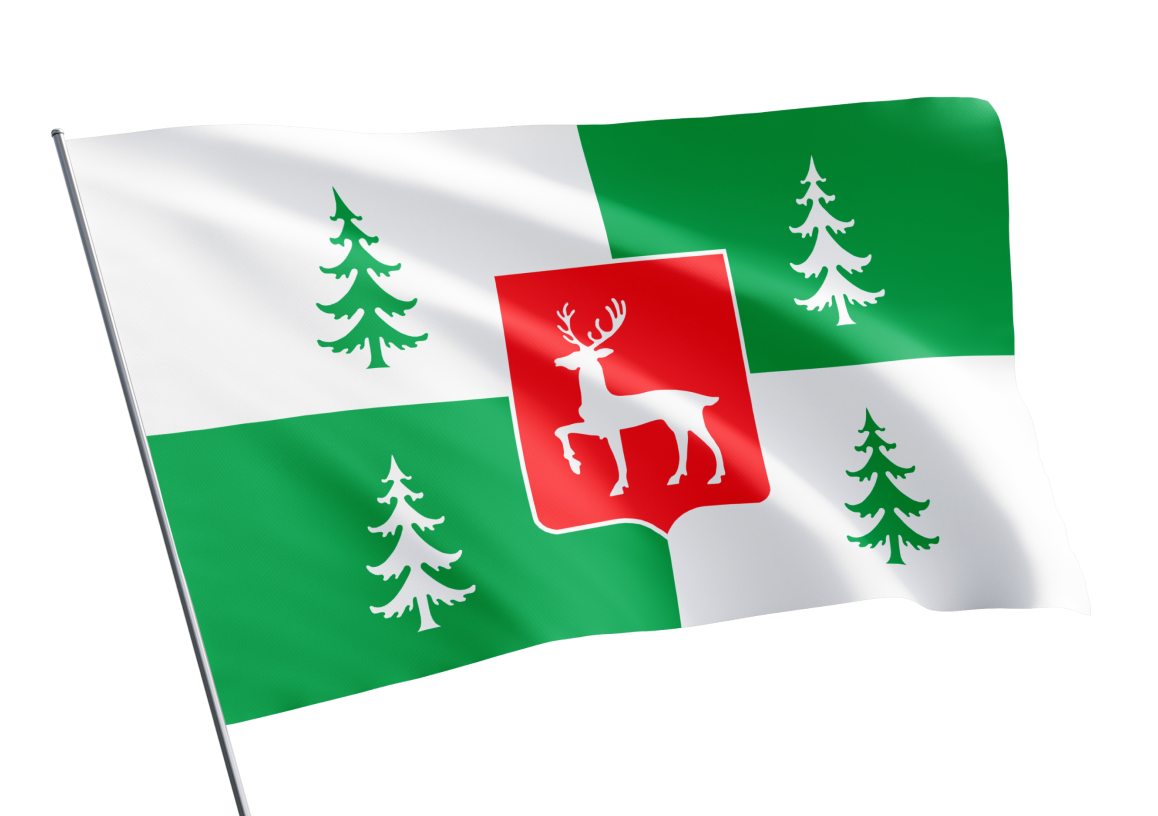 Borjomi municipality flag