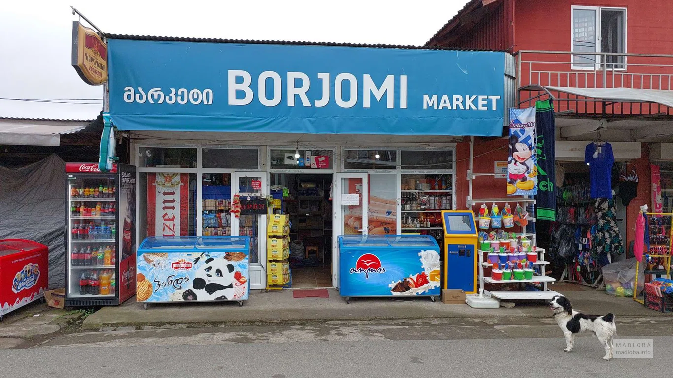 Магазин продуктов Borjomi ул. Такаишвили 222