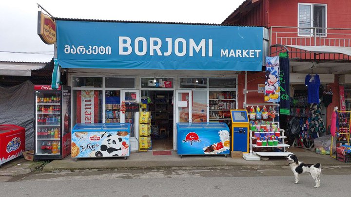 Borjomi (222 Takaishvili St.)