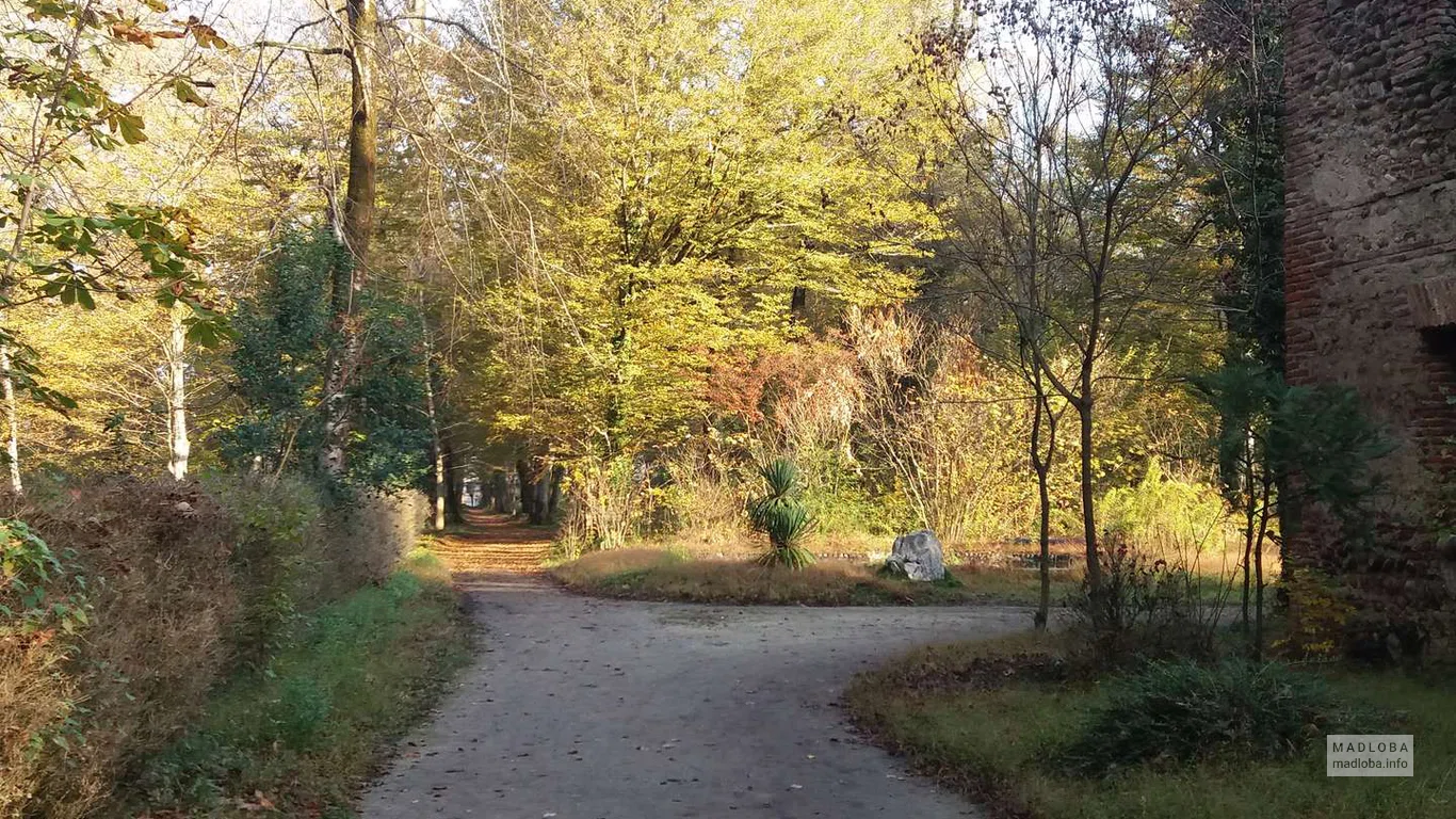 Осенний пейзаж в Ботаническом саду в Зугдиди