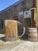 Beer Alkhanaidze