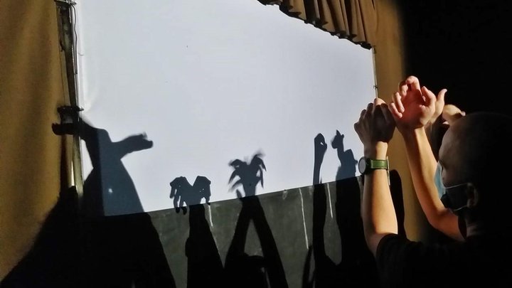 Theater of hand shadows Budrugana Gagra