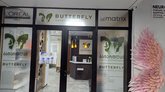 Butterfly beauty academy Batumi