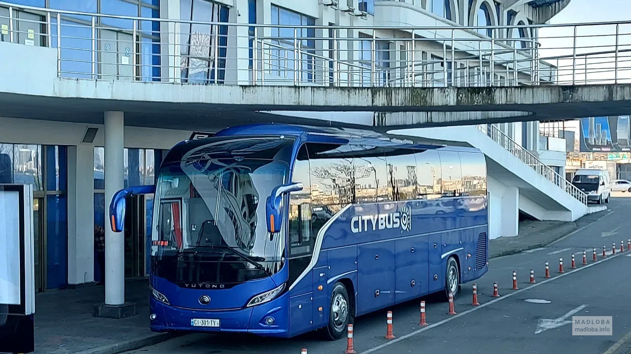 Транспорт компании  "CITYBUS Georgia"