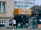 Cactus