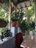 Café le toit