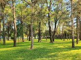Парк калистеники