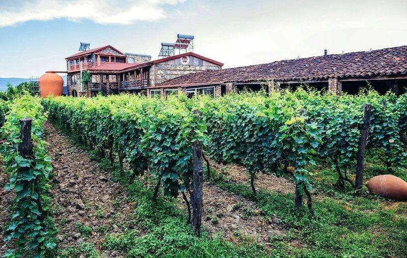 Calypso-Travel-05 e90E8ha.max-800x600