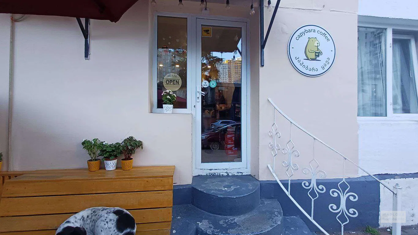 Вход в кофейню Capybara Coffee в Батуми