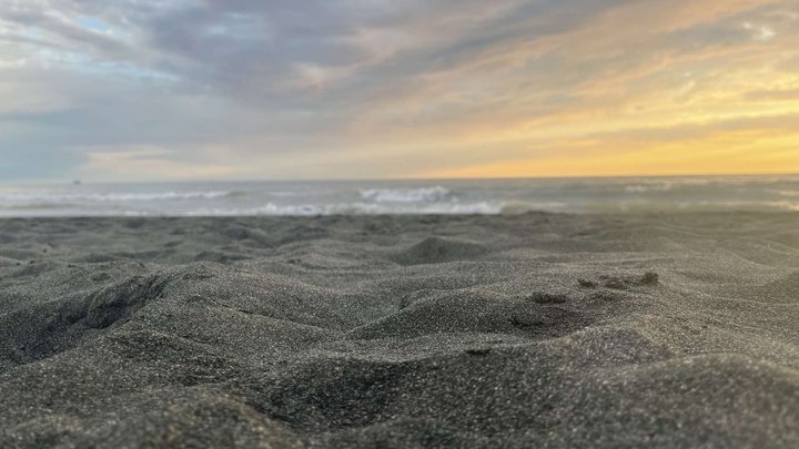 Sandy beach "Black Sands"