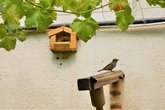 Guest House & Bar "Vine Yard"